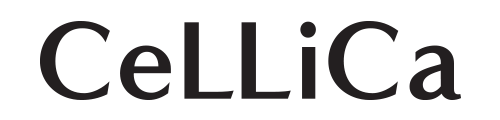 파트너1